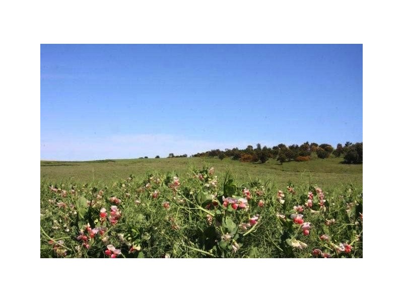 Lot 57 Burwood Road, Wistow SA 5251