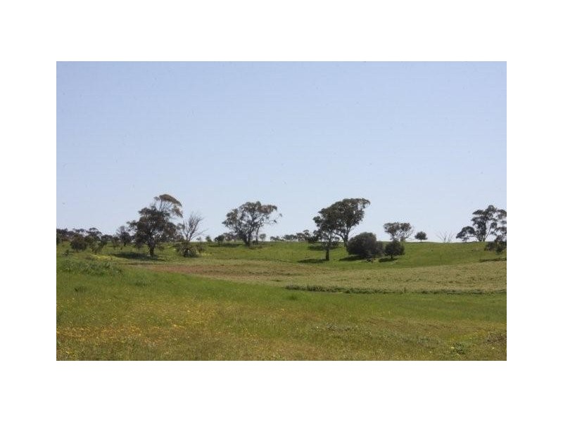 Lot 57 Burwood Road, Wistow SA 5251