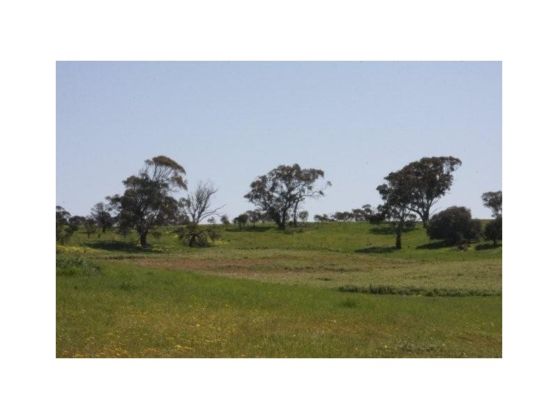 Lot 57 Burwood Road, Wistow SA 5251