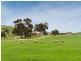 Lot 1 Bremer Range Road, Callington SA 5254