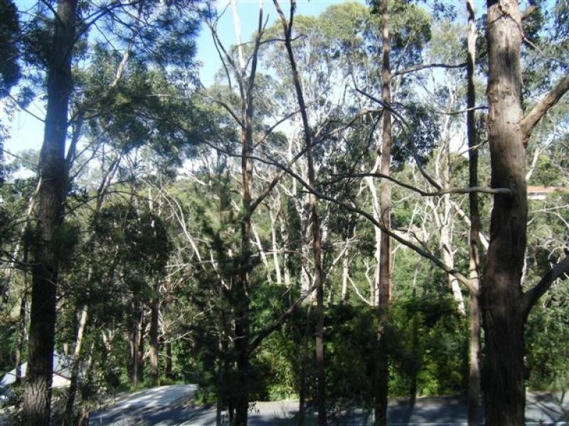 Lot 302 Whitewood Drive, Upper Sturt SA 5156
