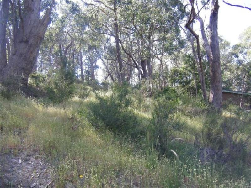 Lot 302 Whitewood Drive, Upper Sturt SA 5156