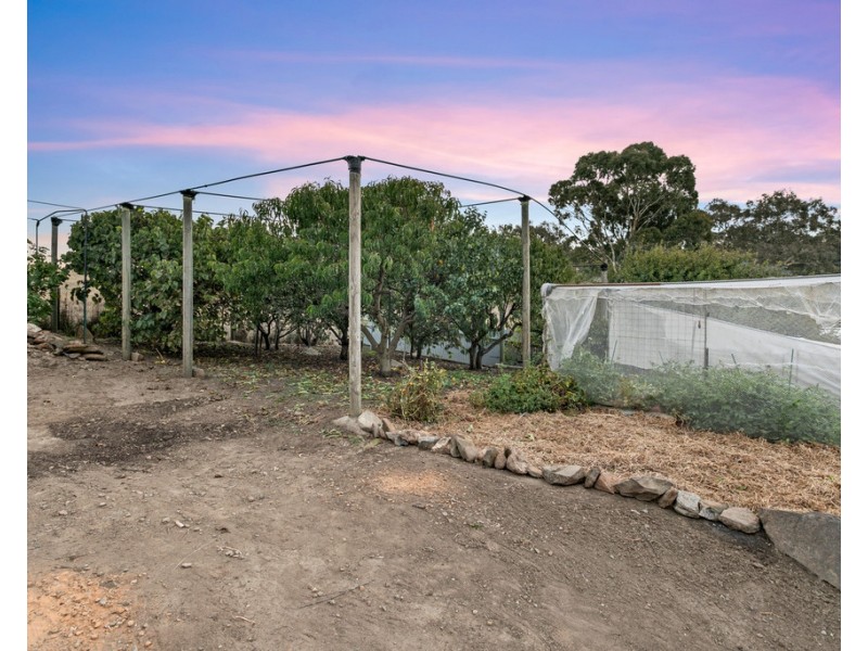 52 Matthew Smillie Drive, Nairne SA 5252