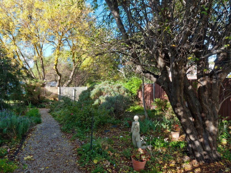 21 Venables Street, Macclesfield SA 5153