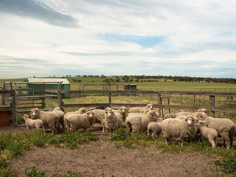 Lot 448 Heinjus Road, Strathalbyn SA 5255
