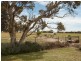 Lot 448 Heinjus Road, Strathalbyn SA 5255