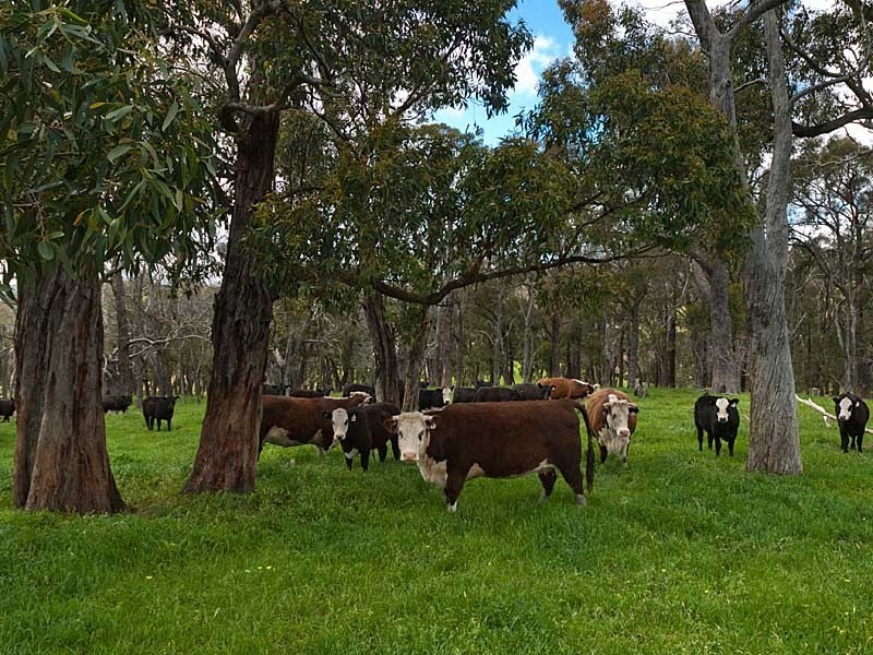 Lot 765 Whites Road, Flaxley SA 5153