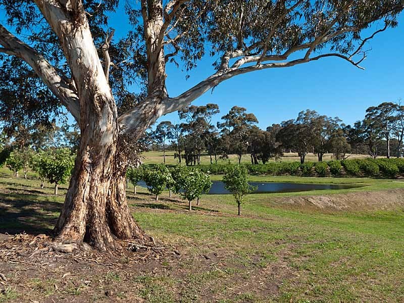 Lot 20 Field Road, Echunga SA 5153