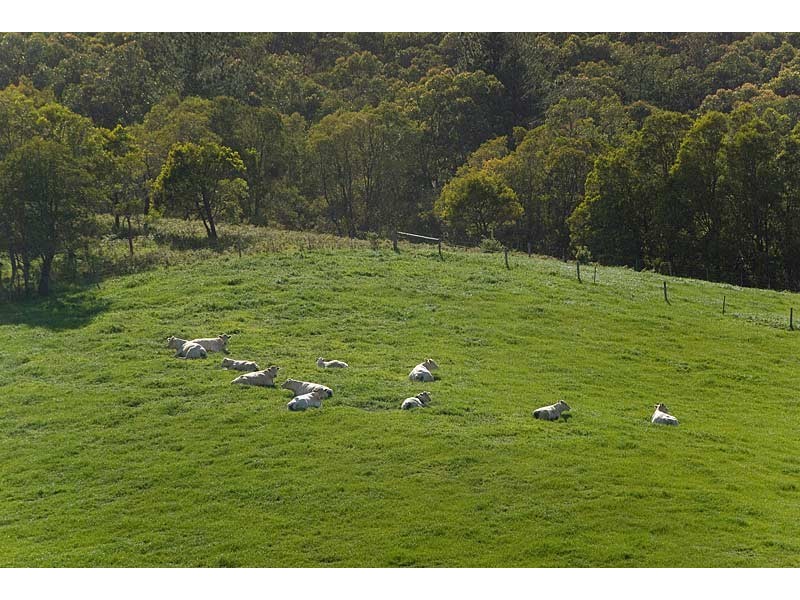 Lot 69 Milligan Road (via Meadows), Prospect Hill SA 5201