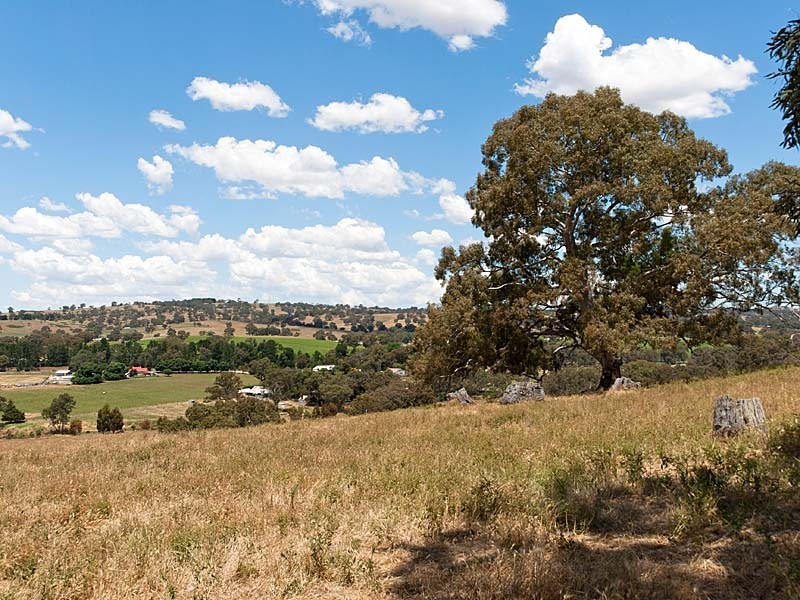 Lot 2 Codgers Lane, Birdwood SA 5234