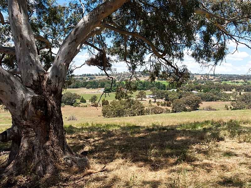 Lot 2 Codgers Lane, Birdwood SA 5234