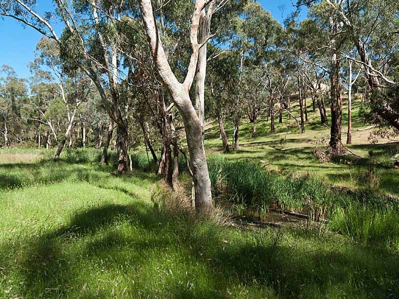 28 Field Road, Echunga SA 5153