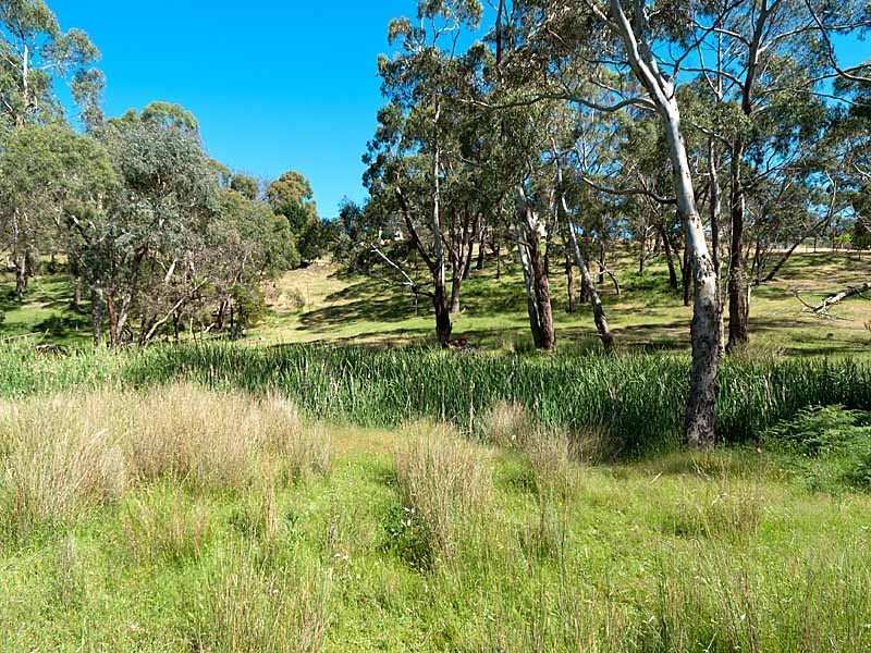 28 Field Road, Echunga SA 5153