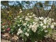 28 Field Road, Echunga SA 5153