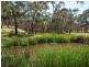 28 Field Road, Echunga SA 5153