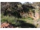 Lot 7 Paris Creek, Paris Creek SA 5201