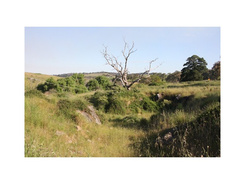 Lot 7 Paris Creek, Paris Creek SA 5201