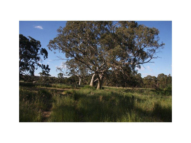 Lot 7 Paris Creek, Paris Creek SA 5201