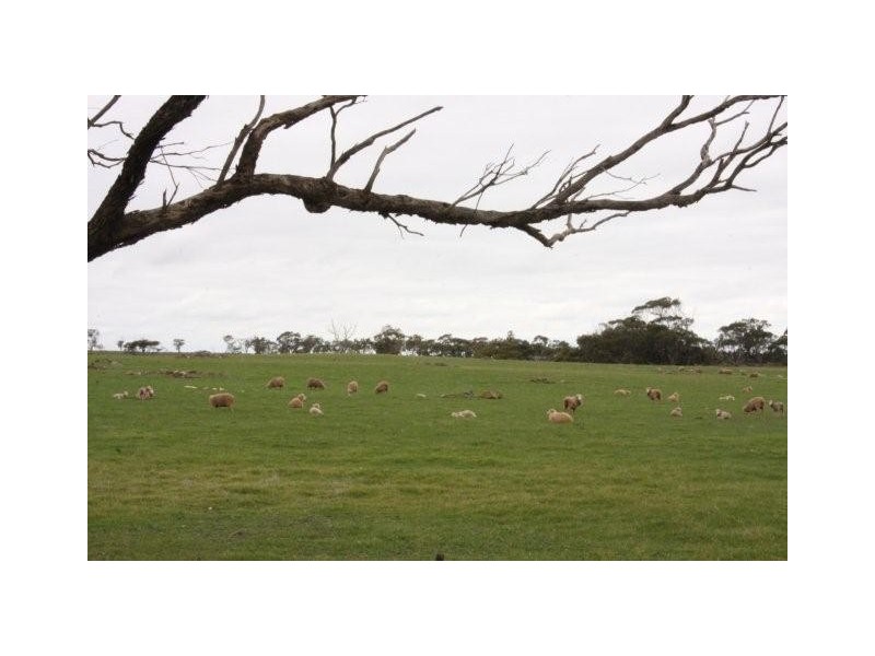 Lot 1 and 8 Law Road, Rockleigh SA 5254