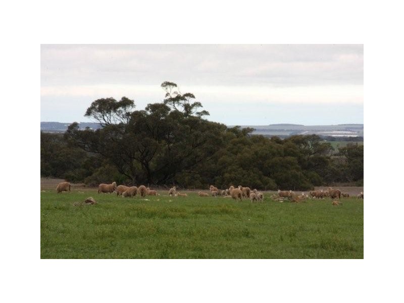 Lot 1 and 8 Law Road, Rockleigh SA 5254