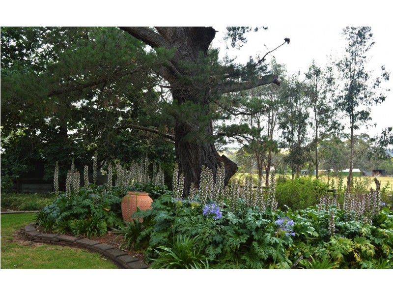 375 Onkaparinga Valley Road, Balhannah SA 5242