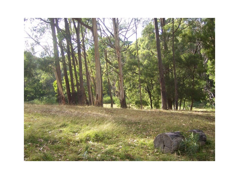 Lot 374 Mt George Road, Mount George SA 5155