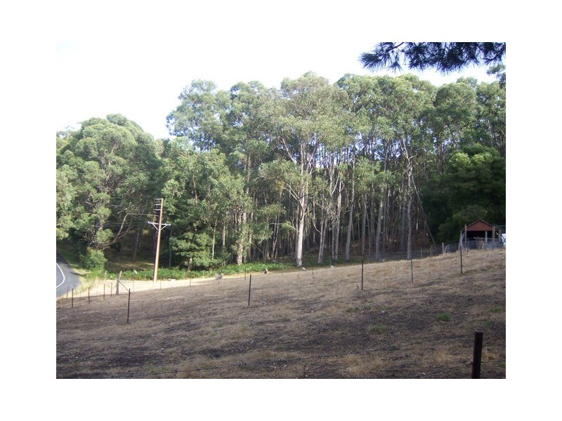 Lot 374 Mt George Road, Mount George SA 5155