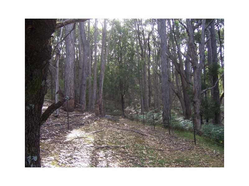 Lot 374 Mt George Road, Mount George SA 5155