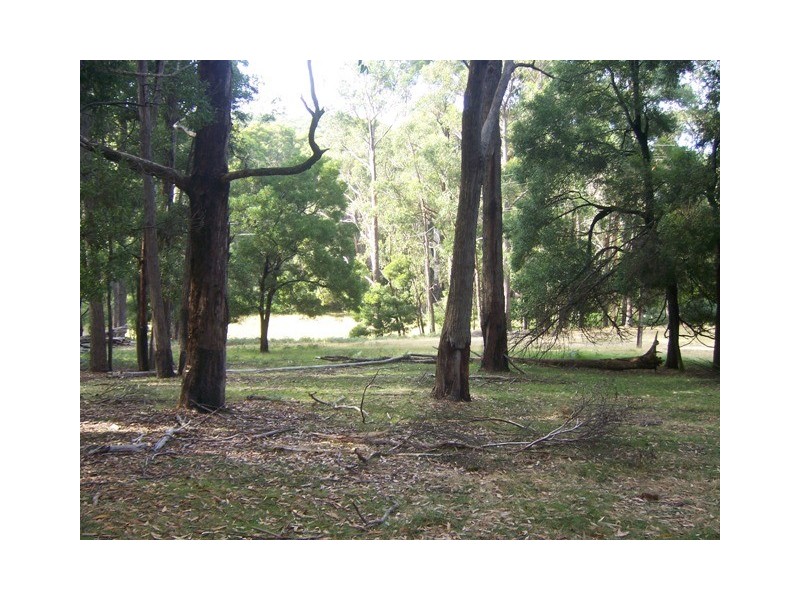 Lot 374 Mt George Road, Mount George SA 5155
