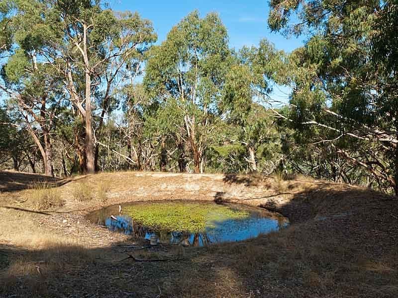 2 Field Road, Echunga SA 5153