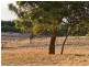 Lot 101 Range Road West, Willunga SA 5172