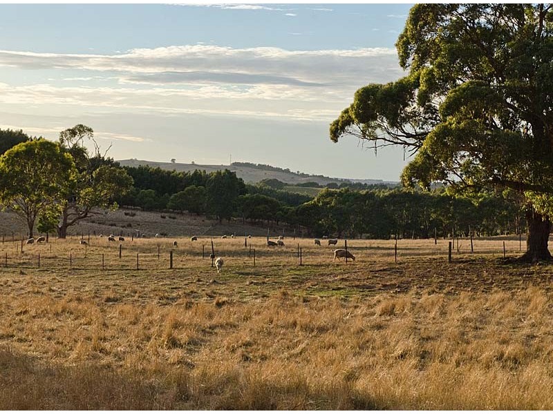 Lot 101 Range Road West, Willunga SA 5172