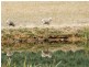 Lot 101 Range Road West, Willunga SA 5172
