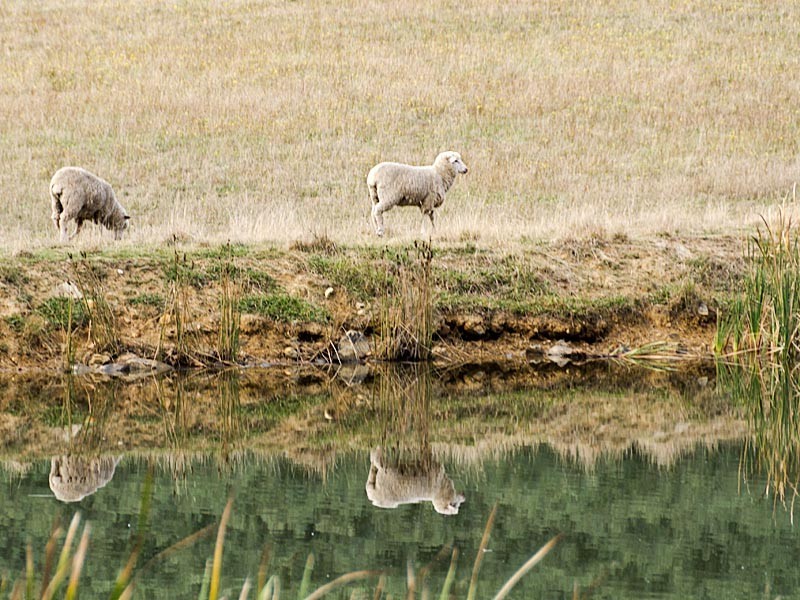 Lot 101 Range Road West, Willunga SA 5172