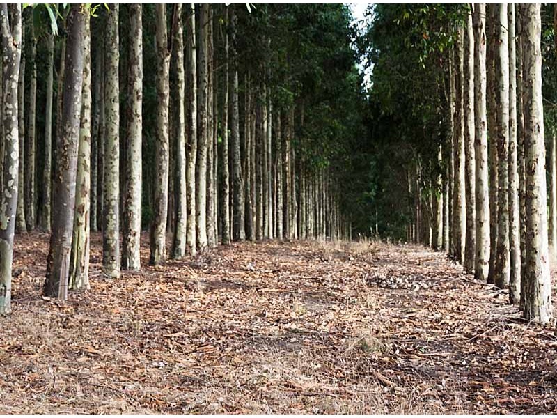 Lot 101 Range Road West, Willunga SA 5172