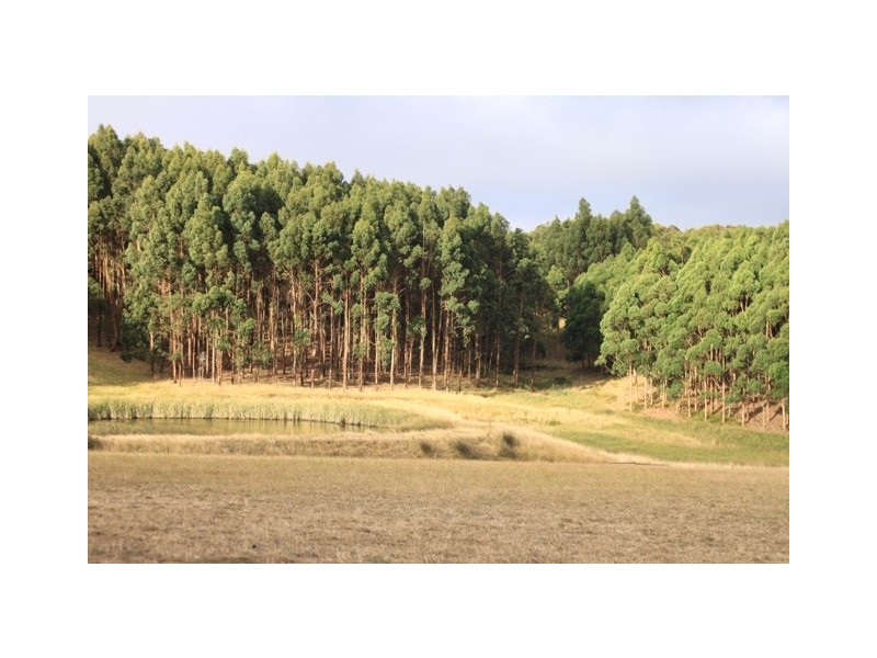 Lot 101 Range Road West, Willunga SA 5172