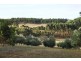 Lot 101 Range Road West, Willunga SA 5172