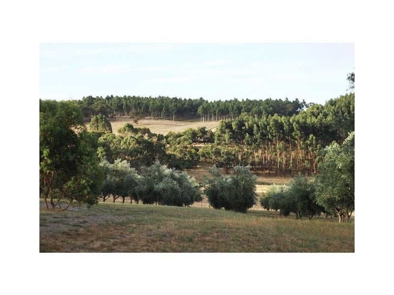 Lot 101 Range Road West, Willunga SA 5172