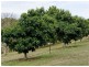 Lot 101 Range Road West, Willunga SA 5172