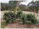 Lot 101 Range Road West, Willunga SA 5172