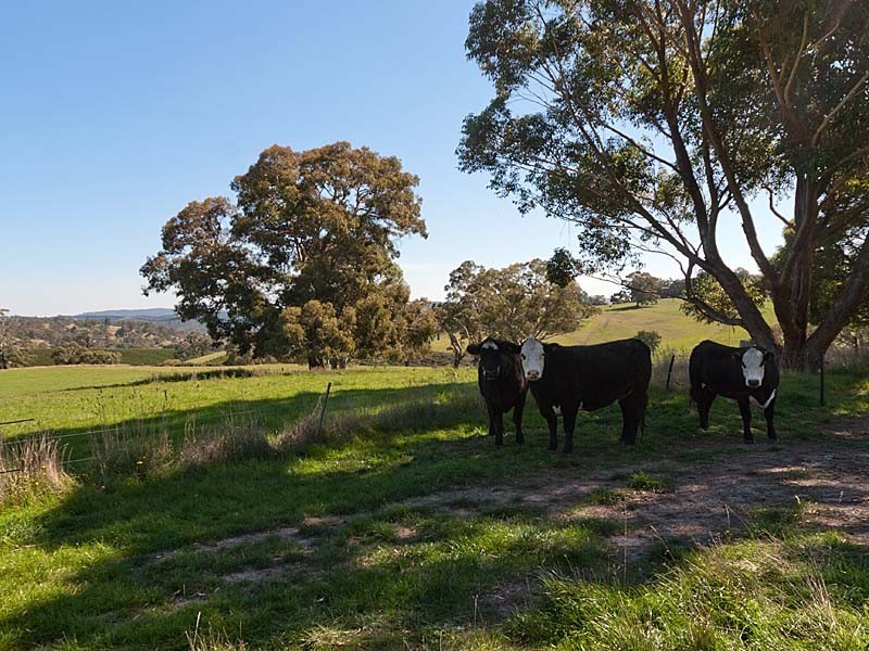 117 Jacksons Hill Road, Gumeracha SA 5233