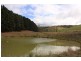 Lot 3 Adelaide-Goolwa Road, Bull Creek SA 5157