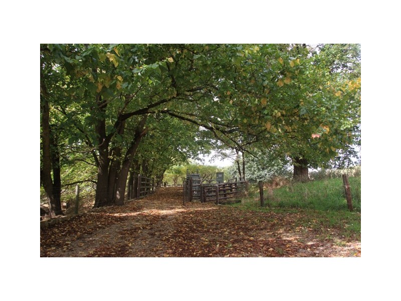 Lot 3 Adelaide-Goolwa Road, Bull Creek SA 5157