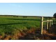 Lot 100 Ferries McDonald Road, Monarto South SA 5254