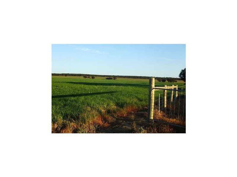 Lot 100 Ferries McDonald Road, Monarto South SA 5254