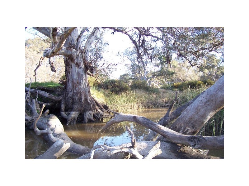 1377 Torrens Valley Road, Birdwood SA 5234