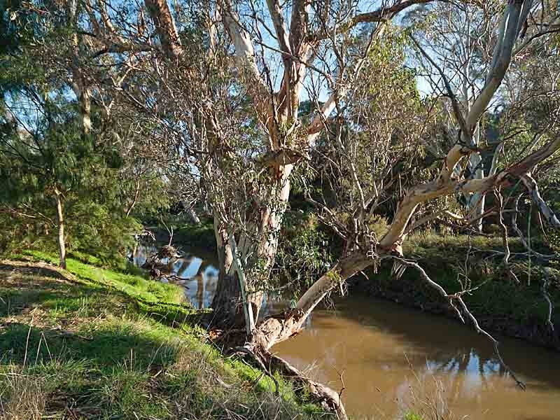 1377 Torrens Valley Road, Birdwood SA 5234