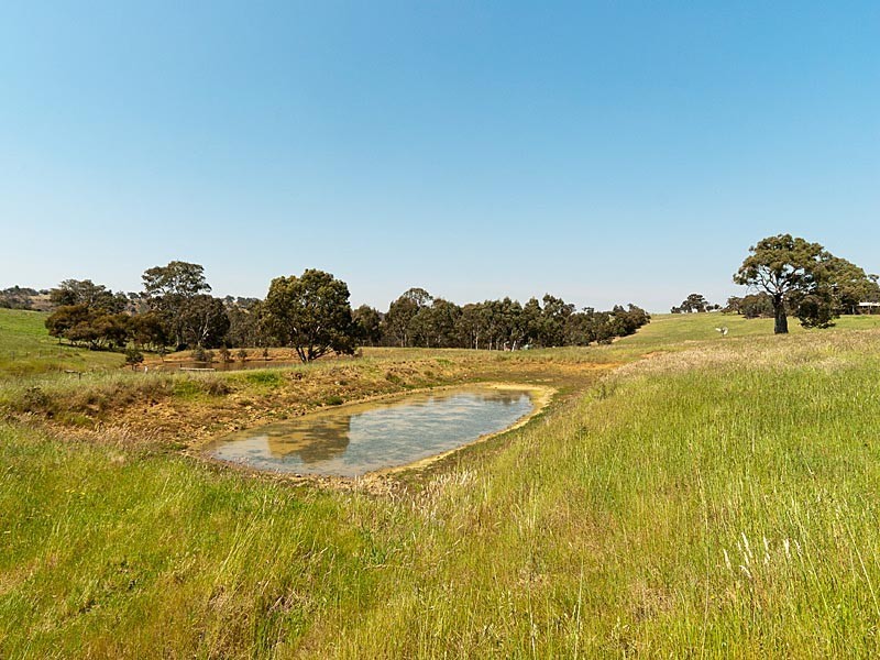 393 Archer Hill Road, Wistow SA 5251