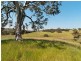 393 Archer Hill Road, Wistow SA 5251