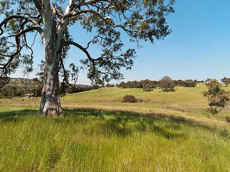 393 Archer Hill Road, Wistow SA 5251